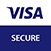 visa icon